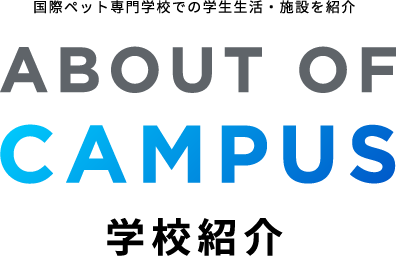 ABOUT OF CAMPUS 学校紹介